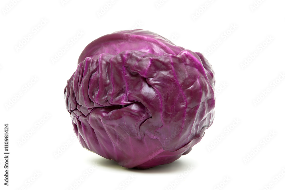 red cabbage closeup isolated on white background red cabbage closeup isolated on white background