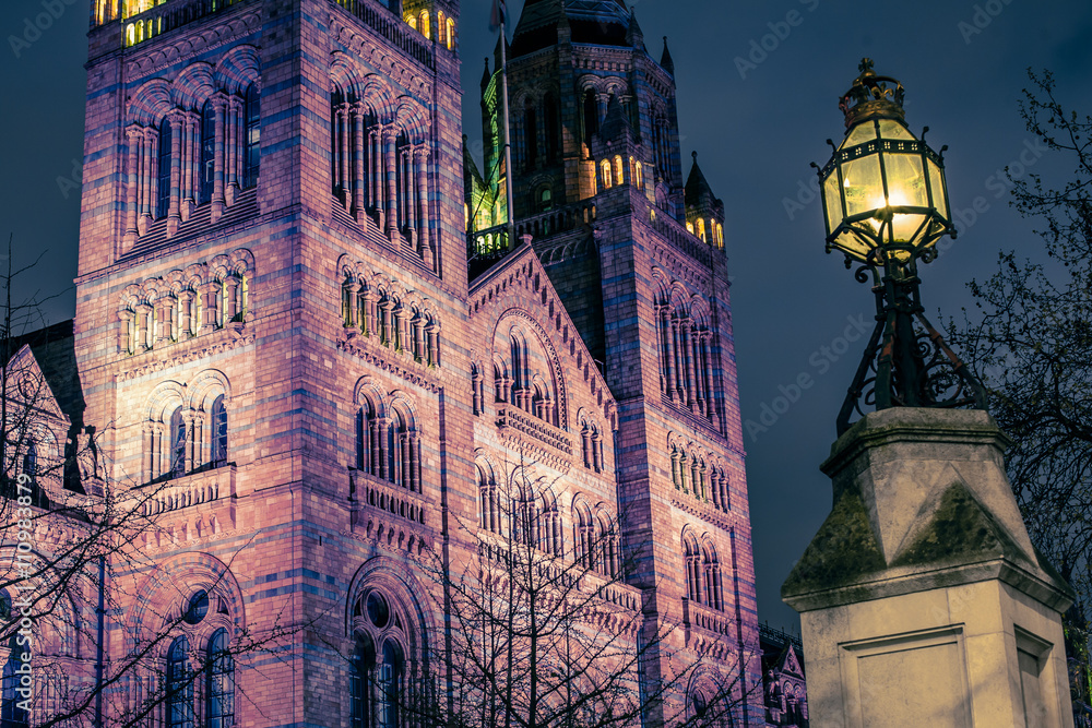 Natural History Museum of London illumination, United Kingdom