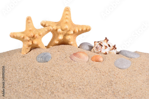 Starfishs and seashells in a beach sand on a white