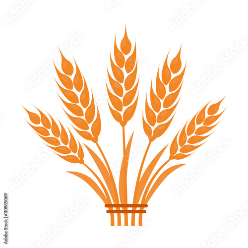 Ears of Wheat icon of vector illustration for web and mobile