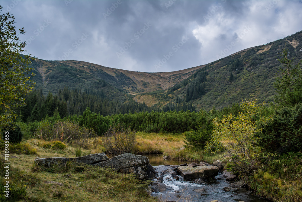 Fototapeta premium Carpathian Mountains