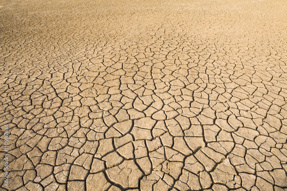 View of dried cracked mud on floodplain, Djoudj National Park, Senegal View of dried cracked mud on floodplain, Djoudj National Park, Senegal