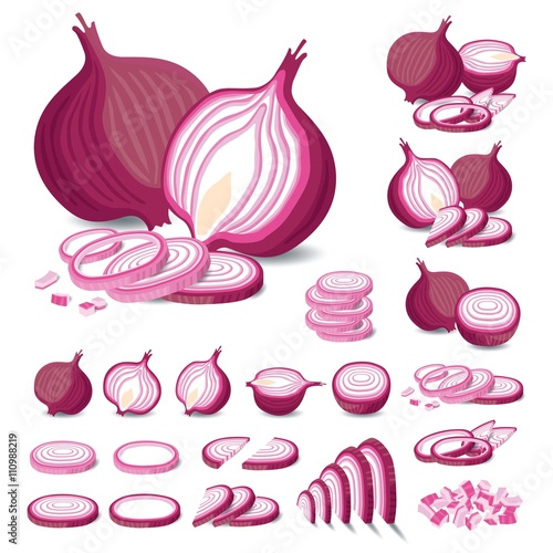Red Onion Isolated Vector