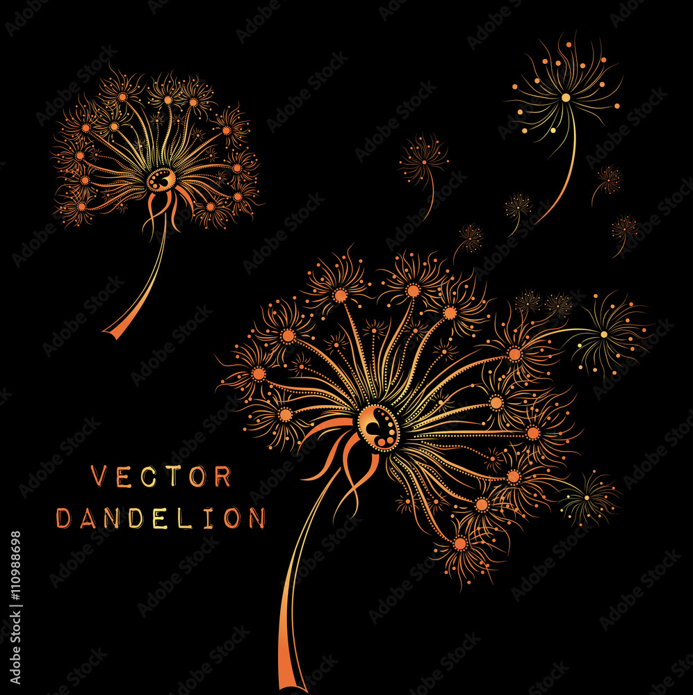 Obraz premium Hand draw dandelion. African / indian / floral / tattoo design. It may be used for design of a t-shirt, bag, postcard and poster.