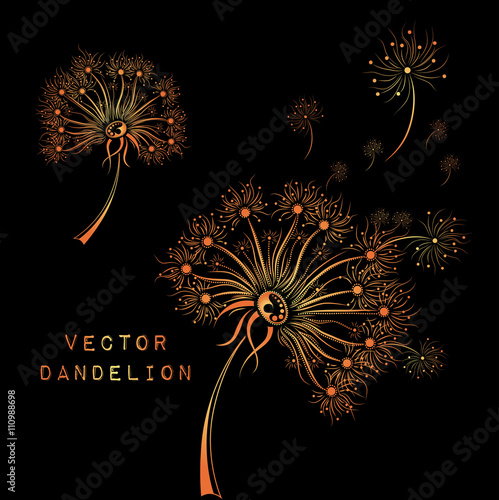 Fototapeta Naklejka Na Ścianę i Meble -  Hand draw dandelion. African / indian / floral / tattoo design. It may be used for design of a t-shirt, bag, postcard and poster.