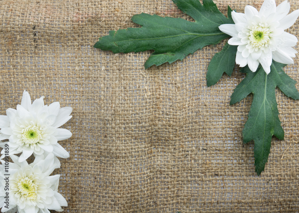 flower on sack fram and copy space flower on sack fram and copy space