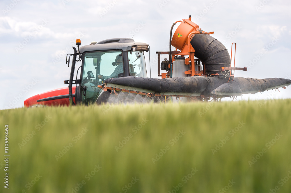Naklejka premium Tractor spraying wheat field