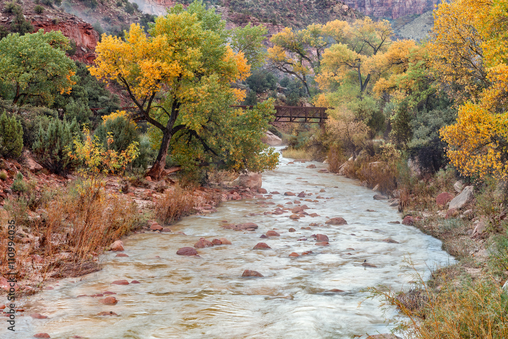 Obraz premium Virgin River Fall Landscape