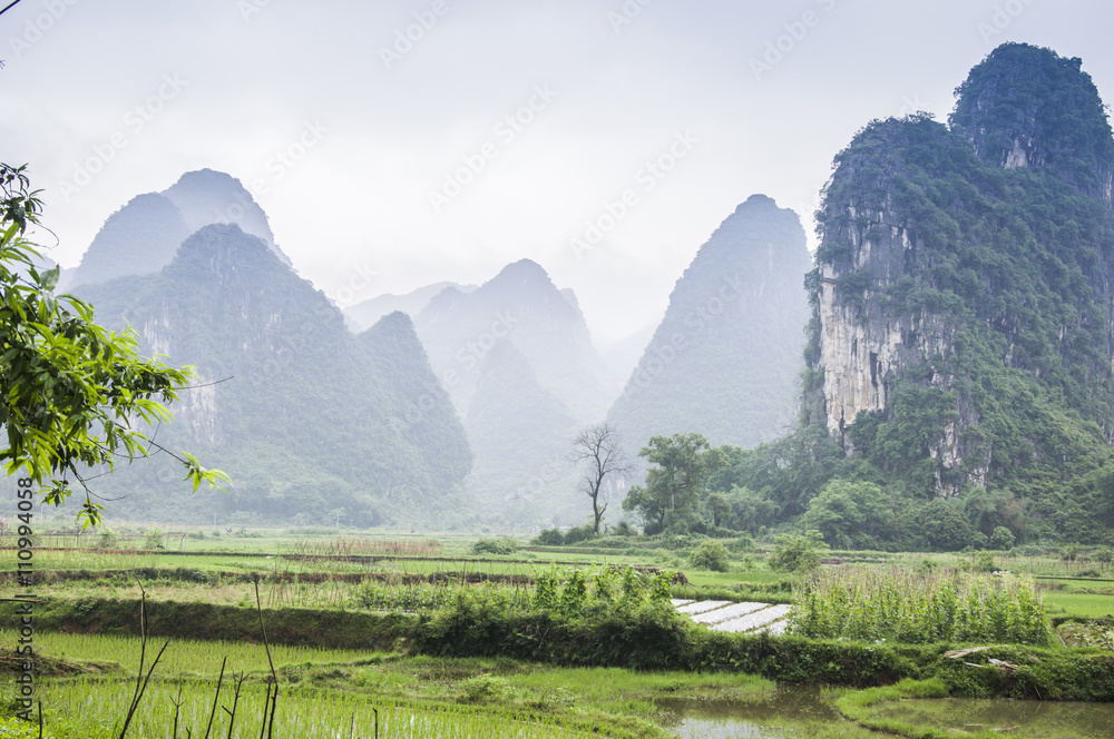 The beautiful karst mountains and rural scenery i spring
