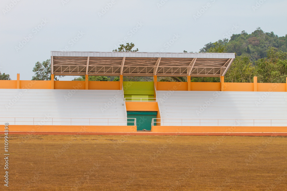 Naklejka premium sports stadium and green grass