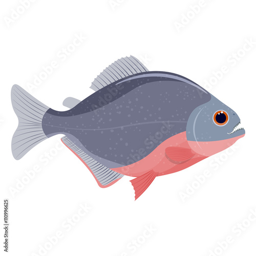 piranha fish vector illustration isolated on white background