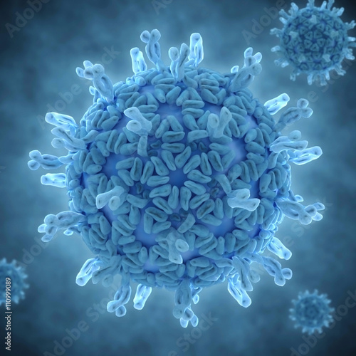 Illustration of a rotavirus virion photo