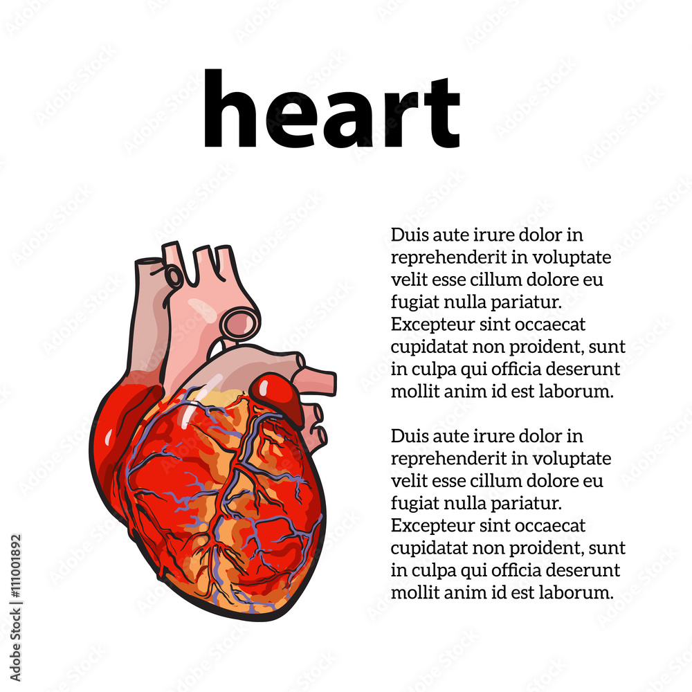 diseased human heart