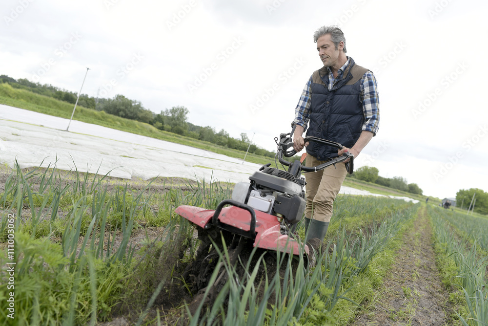 Farmer using rototiller in field Farmer using rototiller in field
