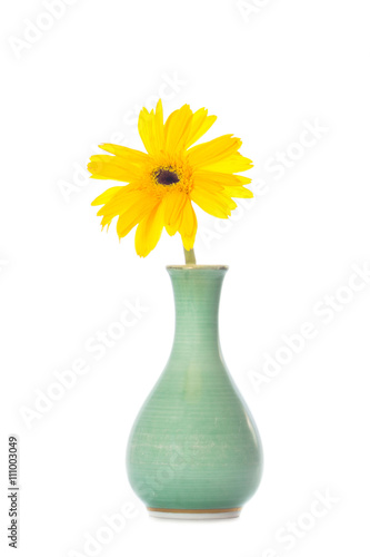 yellow flowers in a vase on a white background © phonrat