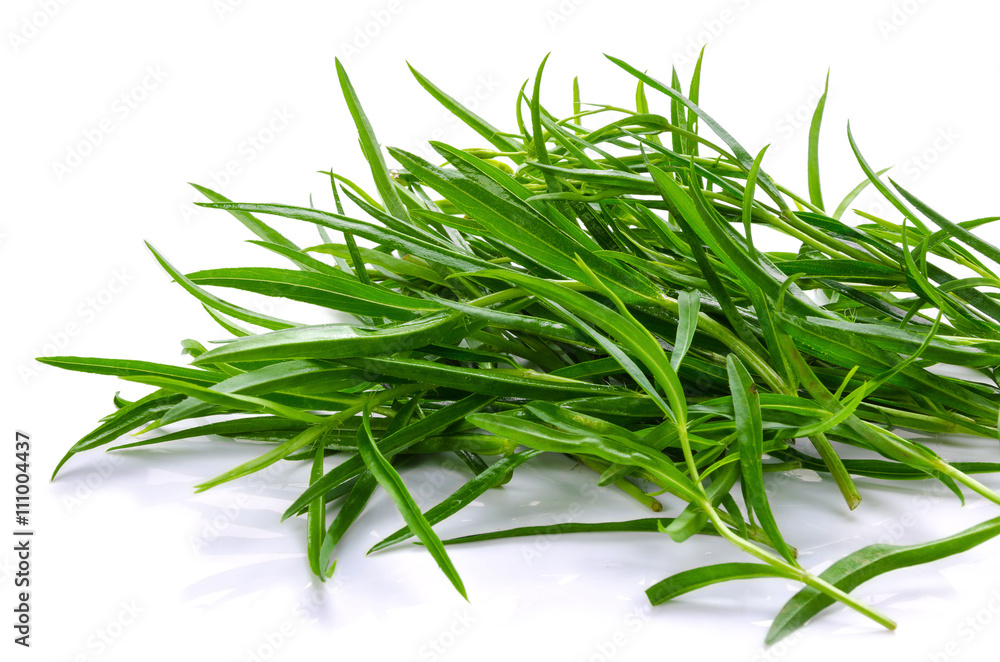 Tarragon herbs close up isolated on white Tarragon herbs close up isolated on white