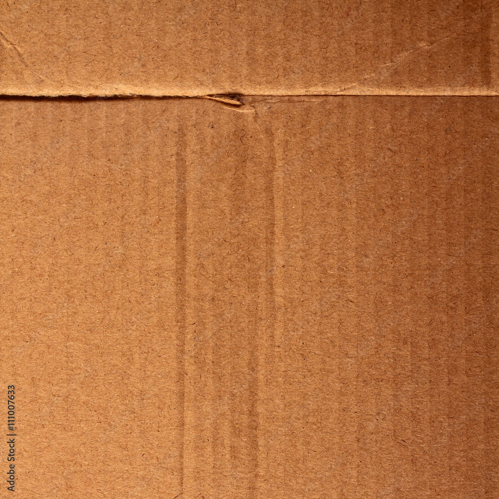 Fototapeta premium texture