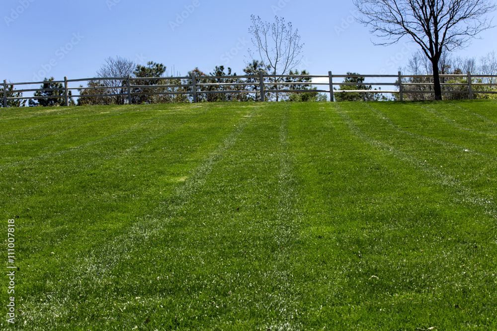 Freshly cut grass at the empty park in springtime
