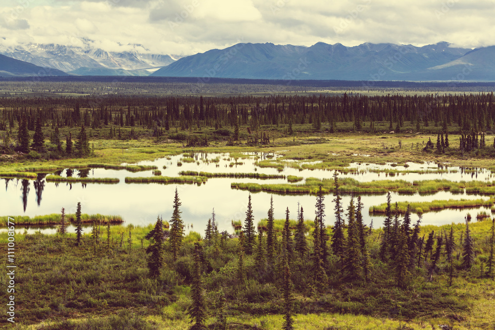 Mountains in Alaska