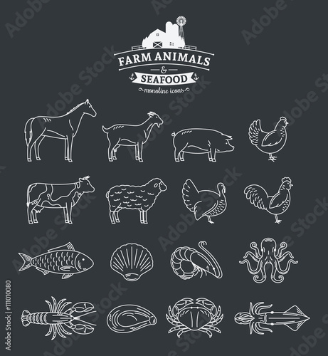 Vector Farm Animals and Seafood Thin Line Icons Collection