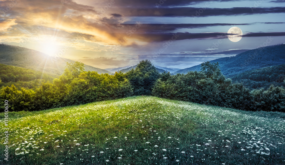 Fototapeta złożony krajobraz z lasem w górach