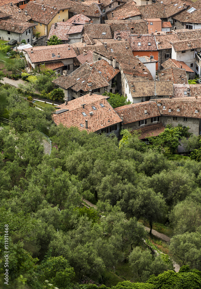 Aerial view of medieval village