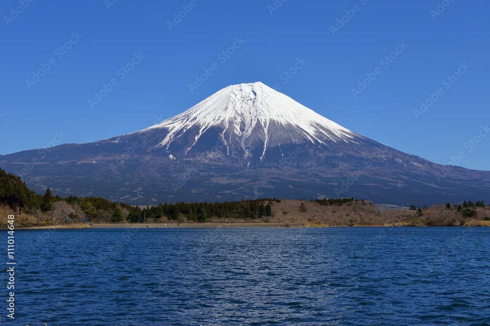 Mt. Fuji And Lake