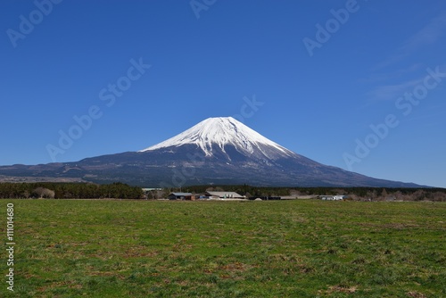 Mt. Fuji And Field