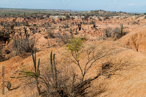 Plants and orange rock formations of Tatacoa desert, Colombia