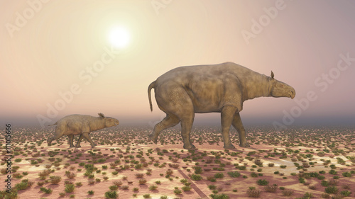 Paraceratherium