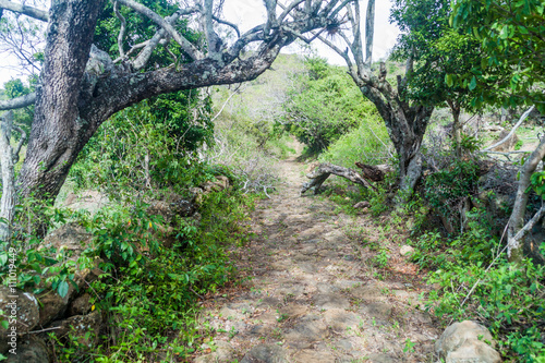 El Camino Real (Royal road) near Guane in Colombia photo