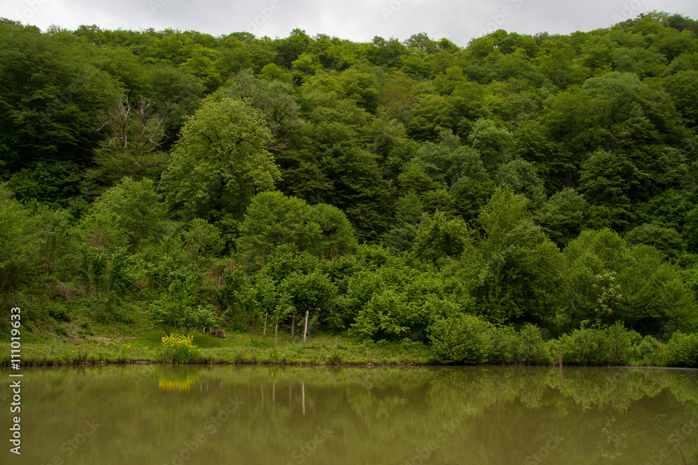 Pond in the Foothills of Caucasus Pond in the Foothills of Caucasus