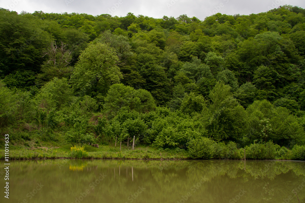 Pond in the Foothills of Caucasus