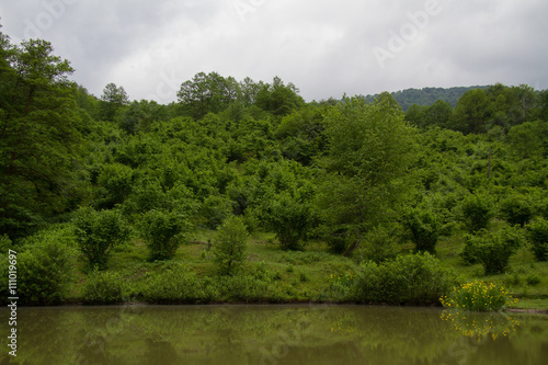 Pond in the Foothills of Caucasus