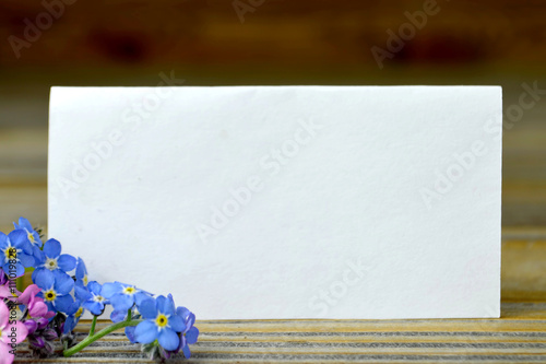 Fototapeta Naklejka Na Ścianę i Meble -  Blank greeting card and “Love me not” flowers