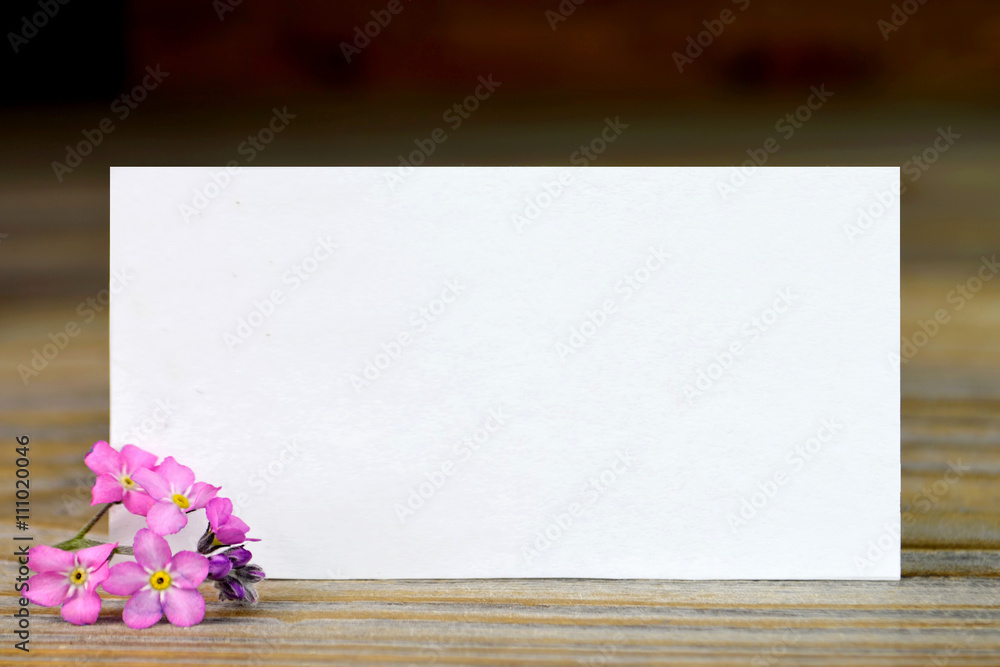 Greeting card and pink spring flowers Greeting card and pink spring flowers