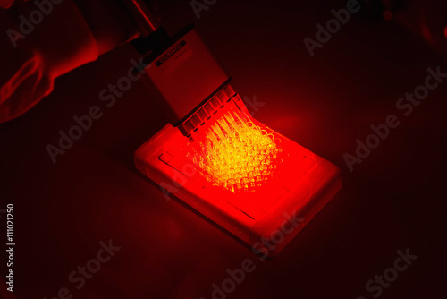 Cancer research laboratory, Photodynamic therapy, photochemotherapy, hand of scientist using photosensitive drugs to treat cancer cells