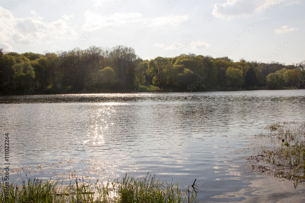 Fototapeta premium pond