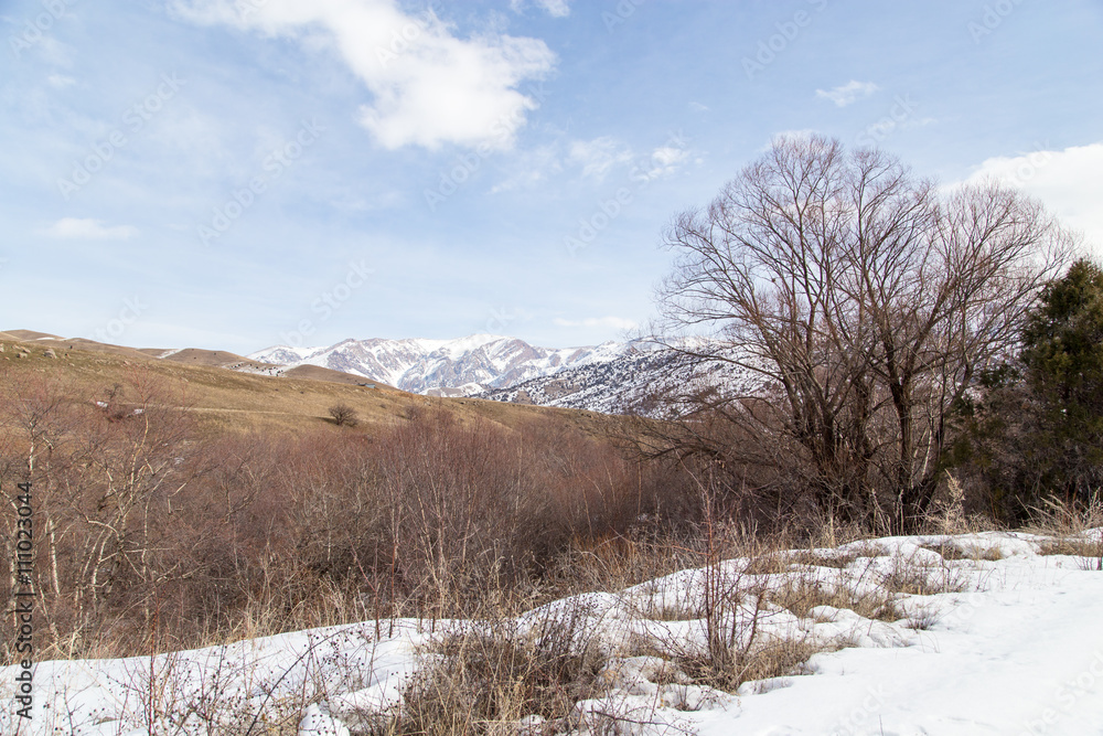 snow-capped mountains of the Tian Shan in winter snow-capped mountains of the Tian Shan in winter