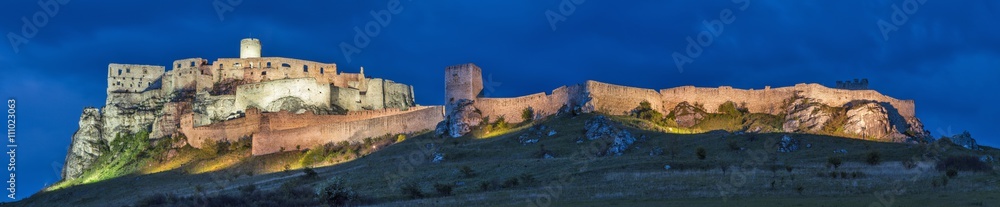 panorama with castle in night lights under night sky