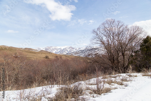 Wallpaper Mural snow-capped mountains of the Tian Shan in winter Torontodigital.ca