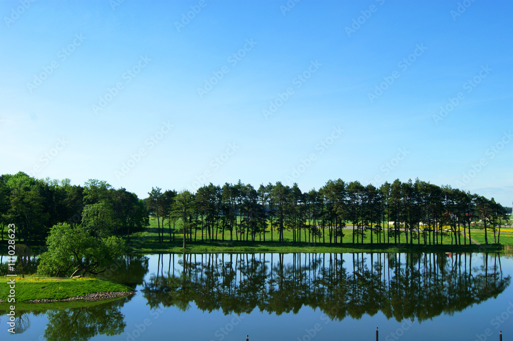 Reflection of trees in water in a park near the castle in Mir. Minsk region, Belarus Reflection of trees in water in a park near the castle in Mir. Minsk region, Belarus
