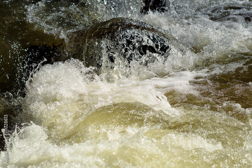 Mountain river in the spring