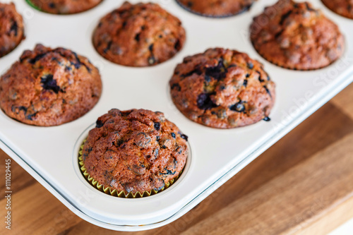 Wallpaper Mural Blueberry muffins on baking plate Torontodigital.ca