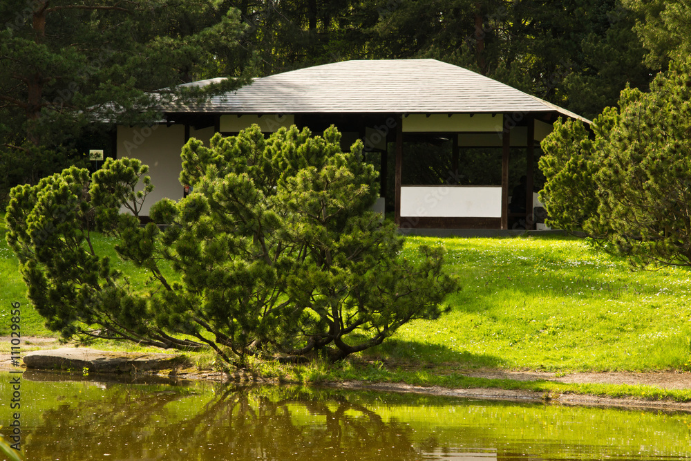 house in a garden house in a garden