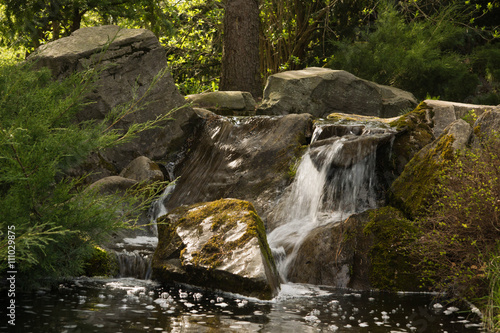 small waterfall in the forest