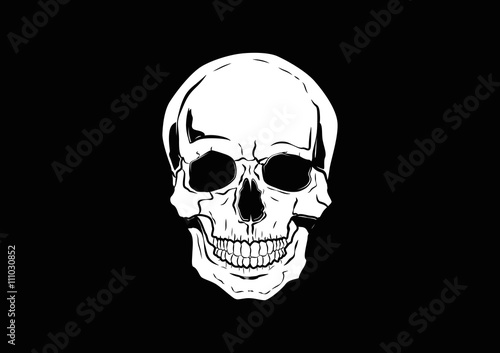 Illustration Vector Graphic Skull Pirate