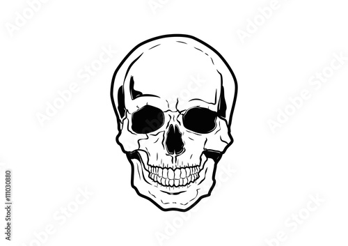 Illustration Vector Graphic Skull Pirate