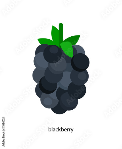 Little blackberry with leaf