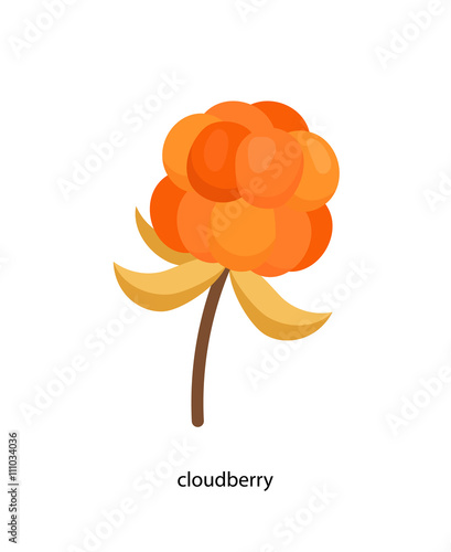 Little yellow cloudberry with leaf